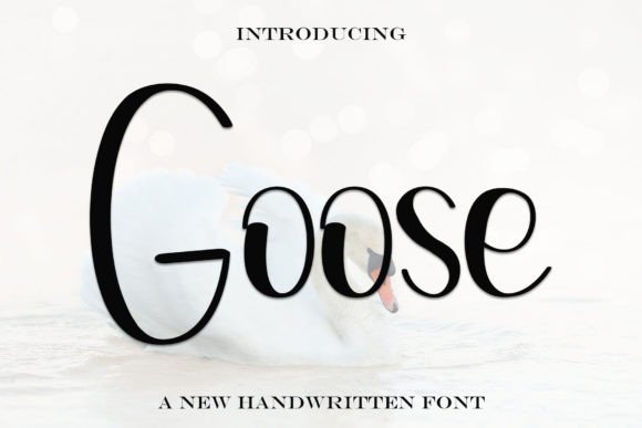 Goose: The Elegant Handwritten Font for Your Campaign Story
