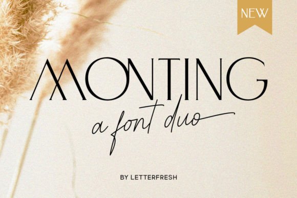 Monting Duo: The Elegant Font Duo for Modern Branding