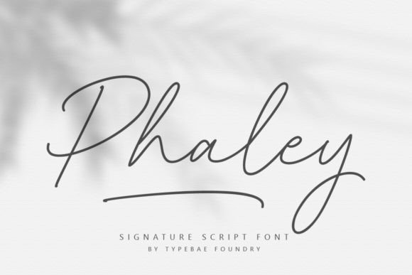 Phaley: The Signature Script Font for Digital Marketing