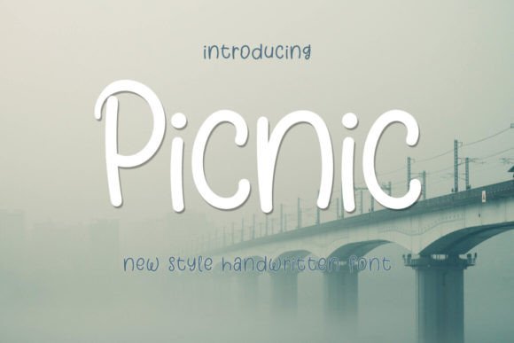 Picnic: A Font for Clear, Elegant Campaigns