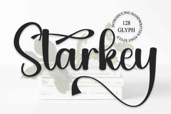 Starkey: The Casual Editorial Font