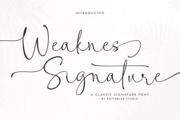 The Weaknes Signature Font: A Sweet Script for Modern Digital Marketing